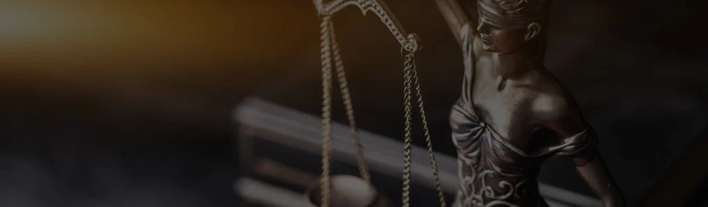 Family Court Guide services